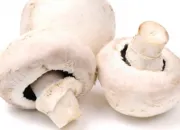 Quiz Quel est ce champignon ? (dbutants)