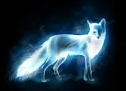 Quiz  Harry Potter  : les Patronus !