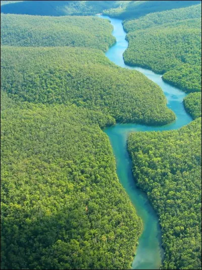 Quel est le nombre approximatif d'arbres en Amazonie en 2018 ?