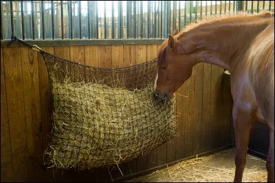 Combien de fois donne-t-on des rations de foin aux chevaux en box ?