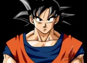 Quiz Dragon Ball : quiz dbutant