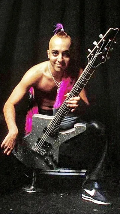 Quel modèle de guitare utilise le plus souvent Daron Malakian ?