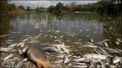 La majeure partie de l'eau du robinet est captée dans les nappes phréatiques. Quel pourcentage l'est dans les cours d'eau et les lacs ?