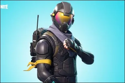 Quel est ce skin ?