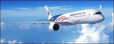 Les transports de la Malaysia Airlines sont comme...