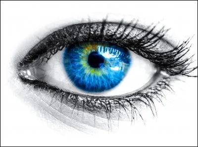 De quelle couleur sont tes yeux ?