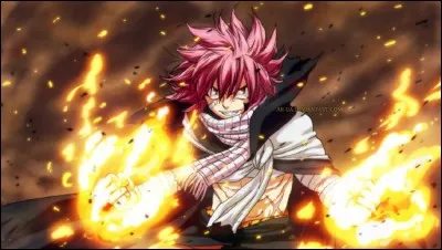 Qui est le partenaire de Natsu ?