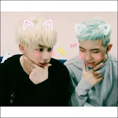 Qu'est le Namjin ?