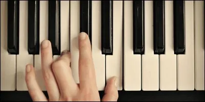 Doté d'un clavier musical il est soutenu par une sangle comme une guitare. Divers "contrôles" sont placés sur le "cou" de l'instrument. Lady Gaga y a joué durant l'une de ses tournées. C'est un :