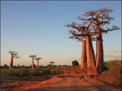 Quelle est la capitale de Madagascar ?