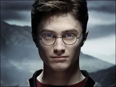 Pour commencer. Qui est Harry Potter ?