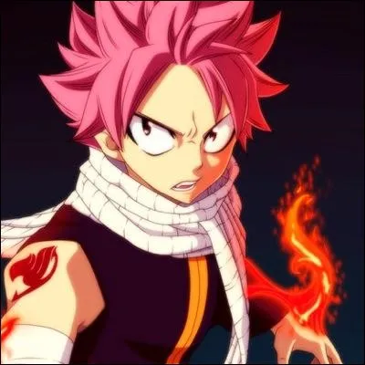 Natsu est un...