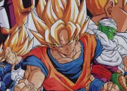 Quiz Dragon Ball Z - Super difficile (Lio et Sam)