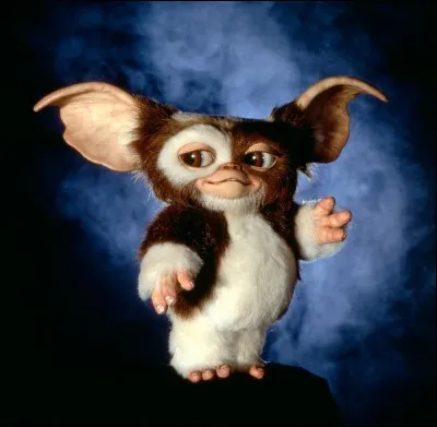 Quelles sont les trois règles pour s'occuper d'un Mogwai dans le film "Gremlins" ?