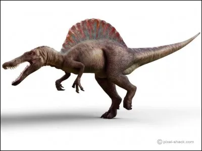 Quel est ce dinosaure ?