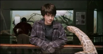 Dans ''Harry Potter à l'école des sorciers'' au zoo d'où vient le serpent avec qui parle Harry ?