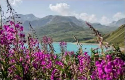 Grand-mère dans le Midi de la France :