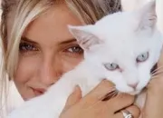 Quiz Des stars et des chats N 4