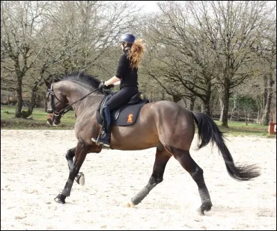 Comment peut-on partir au galop ?