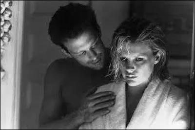 Quel film des années 80 a réuni Mickey Rourke et Kim Basinger à l'écran ?