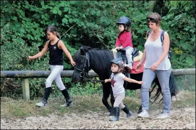 Au moment de la distribution des chevaux dans ton centre :