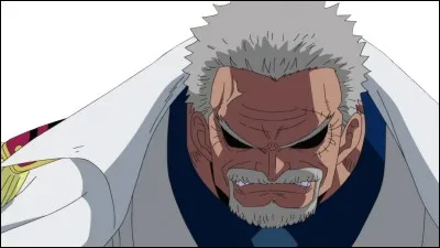 Monkey-D Garp était le pire ennemi de Gold-D Roger.