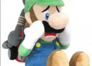 Quiz Luigi