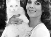 Quiz Des stars et des chats N 5