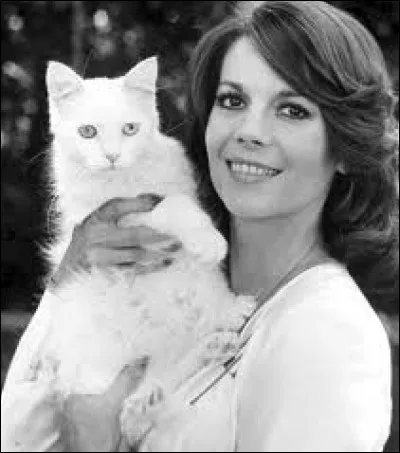 Ce très beau chat blanc est présenté par une star d'origine russe, dont le premier pseudo de cinéma était Natasha Gurdin...