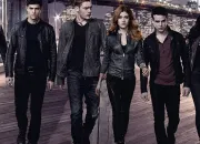 Quiz Shadowhunters