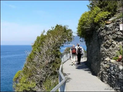 Il s'agit d'un parcours reliant de magnifiques villages et de jolis bords de mer qui nous mène à de charmantes petites anses. Une portion vous fait même emprunter un sentier utilisé par les Étrusques et les Romains.
Quel est ce sentier où vous pourrez vous baigner et admirer les verts vifs des vignes en terrasses sur un fond bleu, puis le soir, goûter un vin blanc local en dégustant des anchois ?