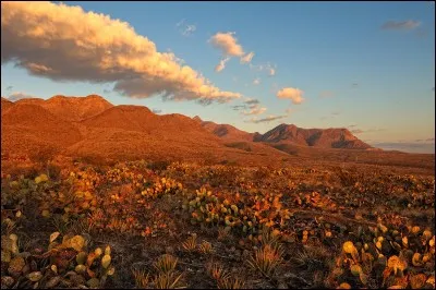 El Paso est une ville des États-Unis proche de quelle frontière ?