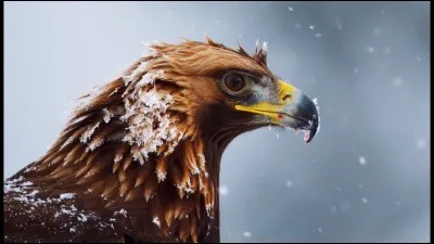 "Salut ! Moi, le cheval voyageur, je suis de retour et je vous propose un quiz sur la nature !"
L'aigle royal est l'oiseau le plus rapide du monde.