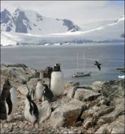 Où se situe l'Antarctique ?