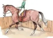 Quiz Galop 2