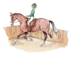 Quiz Equitation