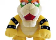 Quiz Bowser