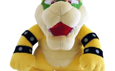 Quiz Bowser