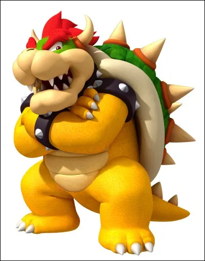 Bowser est le roi des...