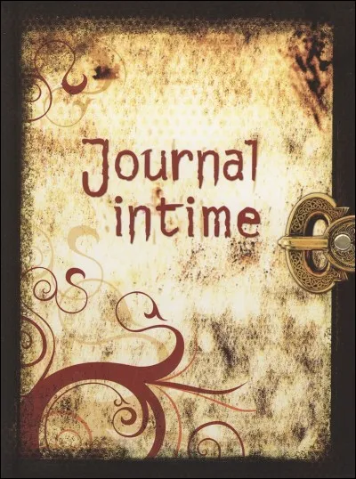 Aimes-tu piquer le journal intime de ta sur ?