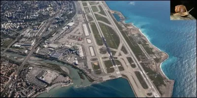 Animaux, aviation !
Il y a quelques années, l'aéroport de Nice a été fermé aux avions suite à l'invasion d'un animal ! Bien sûr, il a été rouvert lorsque le problème a été réglé !
Que s'est-il passé ?