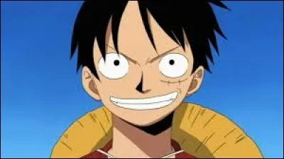 Quelle a été la première prime de Luffy ?