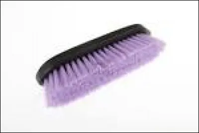 Comment appelle-t-on cette brosse ?