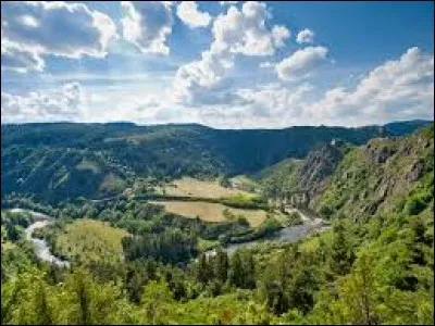 Quelle ville est la préfecture de l'Allier ?