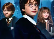 Test Qui es-tu dans ''Harry Potter'' ?