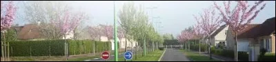 Notre balade dominicale commence dans les Pays-de-la-Loire, à Arçonnay. Village de l'agglomération d'Alençon, il se situe dans le département ...