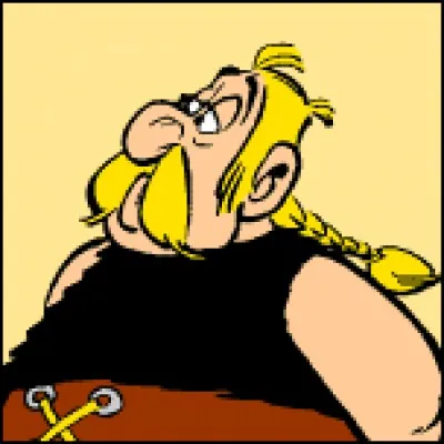 Quel est le métier de ce gaulois bien connu dans le village d'Astérix ?