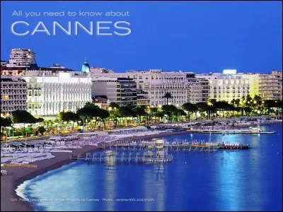 Le mot "cannes" peut désigner...