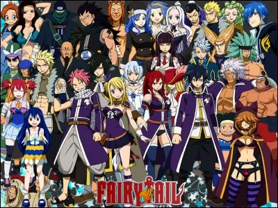 Qu'est Fairy Tail ?