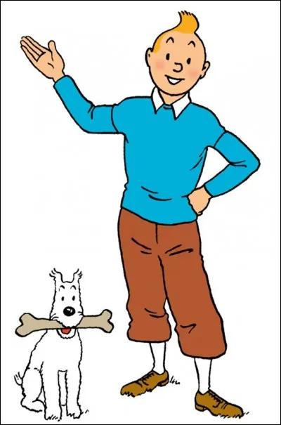 Pourquoi Tintin a-t-il une houppette ?